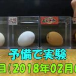 【生活の知恵】古い卵を簡単に見分ける方法　購入1日目～古くなるまで実験してみました。