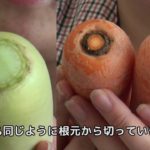 B-ぐるチャンネル『2017年度/お役立ち情報/野菜の保存篇』
