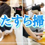 【家事】ひたすら片付け掃除をする動画！【掃除ルーティン】