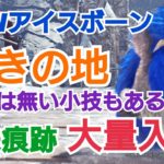 導きで特殊痕跡大量入手！　他には無いお役立ち情報もあるよ！【MHWアイスボーン】