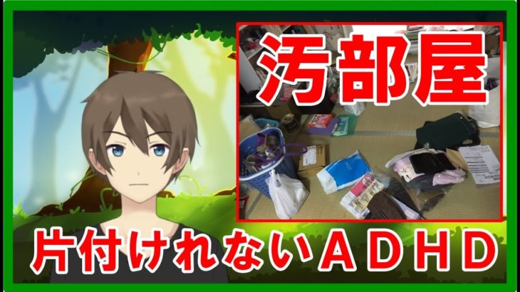 ADHDだと片付けれないし断捨離もできない【掃除のコツはたった2つ】