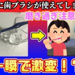 【生活の知恵】一瞬でボサボサになった歯ブラシを買いたてのピンピンに戻す方法を実践したらもう歯ブラシなんて買わなくてよくなった【お得】