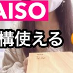 ダイソーDAISO購入品/微妙に便利グッズ/USB延長コード/お風呂の排水溝の髪の毛取り/主婦には便利な来年の手帳/タッチライト他