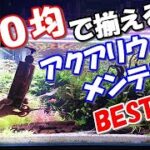 『100均で揃える』アクア用品、BEST10