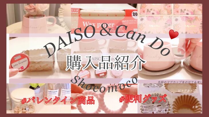 [DAISO/Can Do購入品紹介]主婦の買い物/便利な生活用品やバレンタイングッズなど収納までを紹介