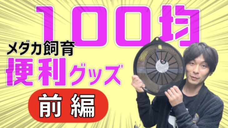 メダカ飼育におすすめ！100円ショップの便利グッズの紹介♪