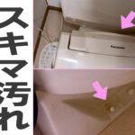 トイレ掃除といえば割り箸でしょ！ #Shorts