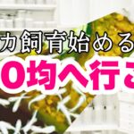 メダカ飼育を始めるならまず100均商品をチェックしてみましょう♪