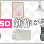 【ダイソー購入品】高機能すぎる新商品！収納・便利グッズなど使いながら正直レビュー【100均マニア主婦】