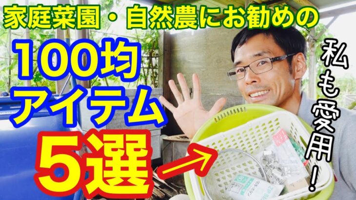 家庭菜園･自然農にお勧めの100均アイテム５選【タネの自家採種には必須かも】2021年8月11日