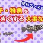 成長させる為に大事な事❗️便利グッズも紹介✨