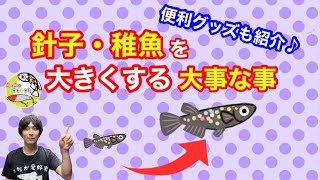 成長させる為に大事な事❗️便利グッズも紹介✨