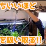 プロホースで水槽の底掃除｜コツを解説【トールマンTV切り抜き】