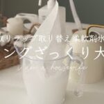 【年末大掃除】埃予防の裏技/基本のリビングリセット大掃除【TikTok