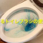 流せるトイレブラシって？使い捨てのコスパや掃除のコツを徹底解説！