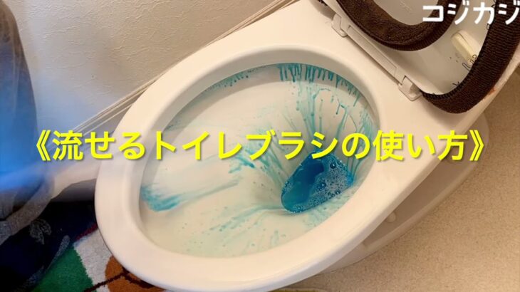 流せるトイレブラシって？使い捨てのコスパや掃除のコツを徹底解説！