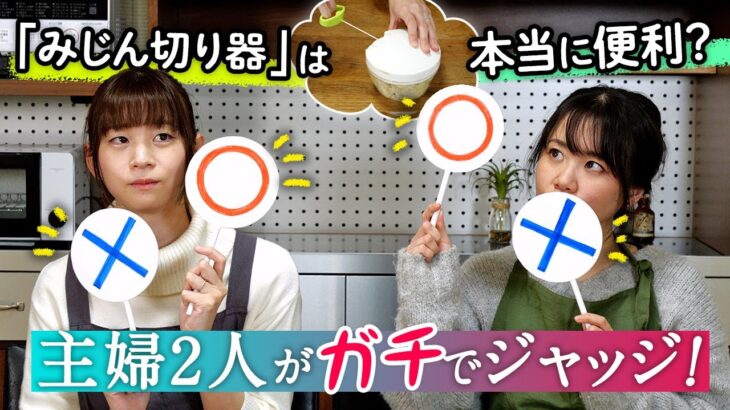 「みじん切り器」って本当に便利？ 主婦2人がガチで検証＆ジャッジ！