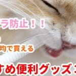 【猫のイタズラ＆換毛期】買って良かった100均＆Amazon猫用便利グッズ３選！