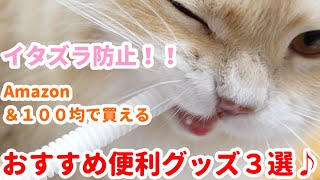 【猫のイタズラ＆換毛期】買って良かった100均＆Amazon猫用便利グッズ３選！