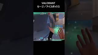 【VALORANT ヴァロラント】【#Shorts】走り撃ちのコツは前日トイレ掃除することです