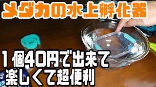 【メダカ便利グッズ】メダカの卵水上孵化器はカンタンに出来て超便利！！