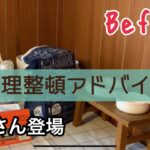 『整理整頓』片付けかたのコツ　会話する猫ララさんとやっていこう🐾