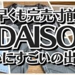 【100均】ダイソー　ついに出た!!すごい人気で飛ぶように売れてる!!【DAISO】