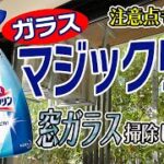 窓ガラスをピカピカに！ガラスマジックリンで掃除してみた【注意点も解説！】