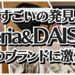 【100均】ダイソー＆セリア　すごいの出た!!あのブランドに激似!!【DAISO＆Seria】