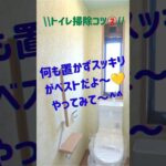 おうちパワースポットミニレッスン④トイレ掃除コツ2