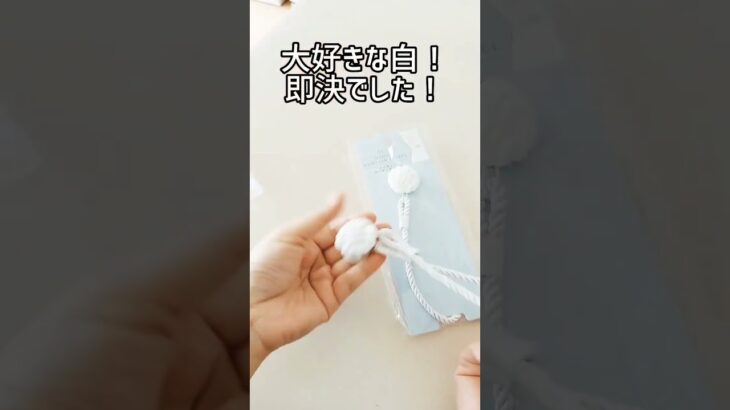 【主婦が買うseria】来年のもの、便利グッズ、防犯グッズ