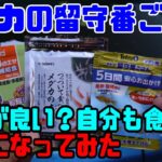 【メダカ便利グッズ】メダカ留守番ごはん一番食べるのはどれだ？やってみた