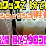 【めだか便利グッズ】ブラインシュリンプ孵化器を100均グッズで超簡単に作ってみよう！！卵のカラの分離方法もあるよ