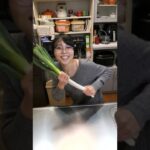 【生活の知恵】ネギの保存方法 #shorts #料理 #飯テロ #ダイエット