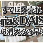 【100均】セリア&ダイソー　爆売れ確定!!バズり商品が棚からすぐに消えていく!!【DAISO＆Seria】