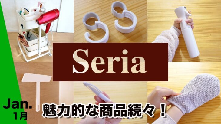 【100均】魅力的な商品が続々！一瞬で売り切れる程人気の商品正直レビュー！