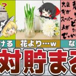 【ゆっくり解説】知っトク10選～これを実践すれば貯まらない訳が無い！【貯金 節約】