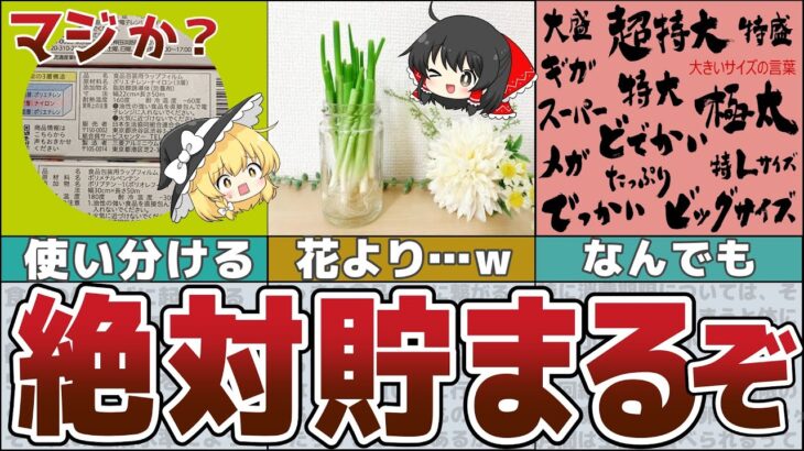 【ゆっくり解説】知っトク10選～これを実践すれば貯まらない訳が無い！【貯金 節約】