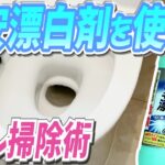 激安漂白剤を使ったトイレ掃除術！