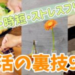 【即実践】リアルに使っている👍生活の裏技9選✨