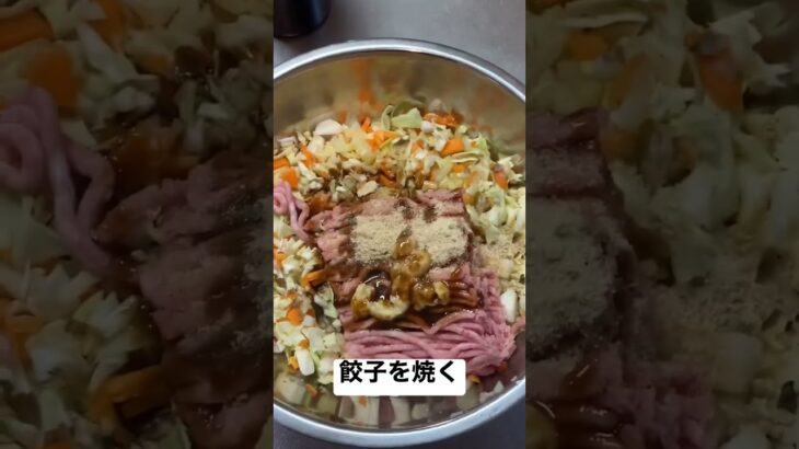 100均の便利グッズで餃子を焼く #夕飯 #餃子 #料理動画 #豚肉