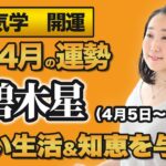 【占い】2023年４月の三碧木星の運勢・九星気学【正しい生活＆知恵を与える】（4月5日～ 5月5日）仕事・健康・人間関係