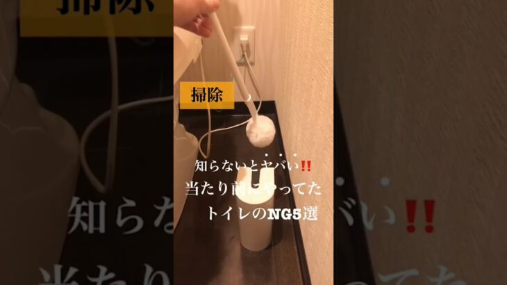 【知らないとヤバい】トイレ掃除のNG5選