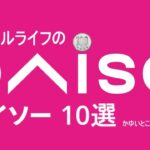 【100均】ダイソーの超絶オススメ商品10個／かゆいところに手が届く100円ショップの便利グッズ ＠シンプルライフ研究家マキ #223