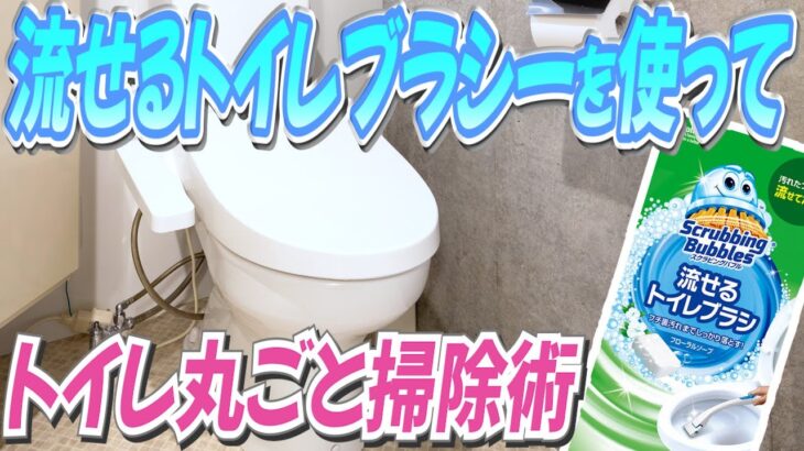 流せるトイレブラシを使ってトイレ丸ごと掃除術