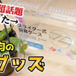 売り切れ続出した”100均グッズ”を買うなら今！【観葉植物】【熱帯植物】