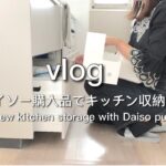 【主婦vlog】ダイソーでキッチン収納見直し/ダイソー購入品/ダイソー便利グッズ/爆買い/ザクラッソ収納/With English translation