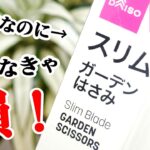 100均園芸グッズが好評なので試してみたら…ここは必ずチェック！【観葉植物】