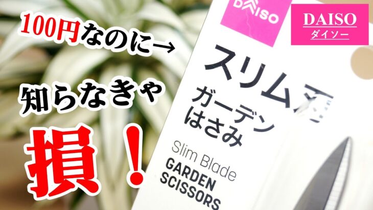 100均園芸グッズが好評なので試してみたら…ここは必ずチェック！【観葉植物】