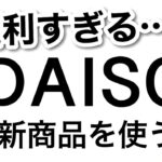 【100均】便利すぎて驚いた!!DAISOダイソー新商品♡【家事/便利/キッチン/洗濯/旅行/ジム/傘/トレンド/弁当】